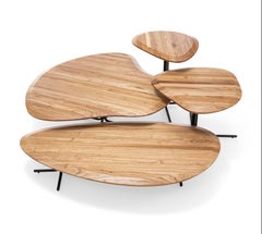 Table basse personnalisable à plateau en teck de 20 pouces avec base en métal noir, série Pantê
