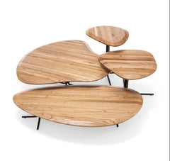 Coffee Table with 24-Inch Teak Top and Black Base, Organic Design – Pantê Line
