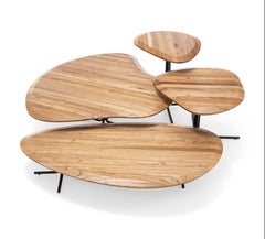 Customizable Teak Coffee Table with Organic Design and Black Base, Pantê Line