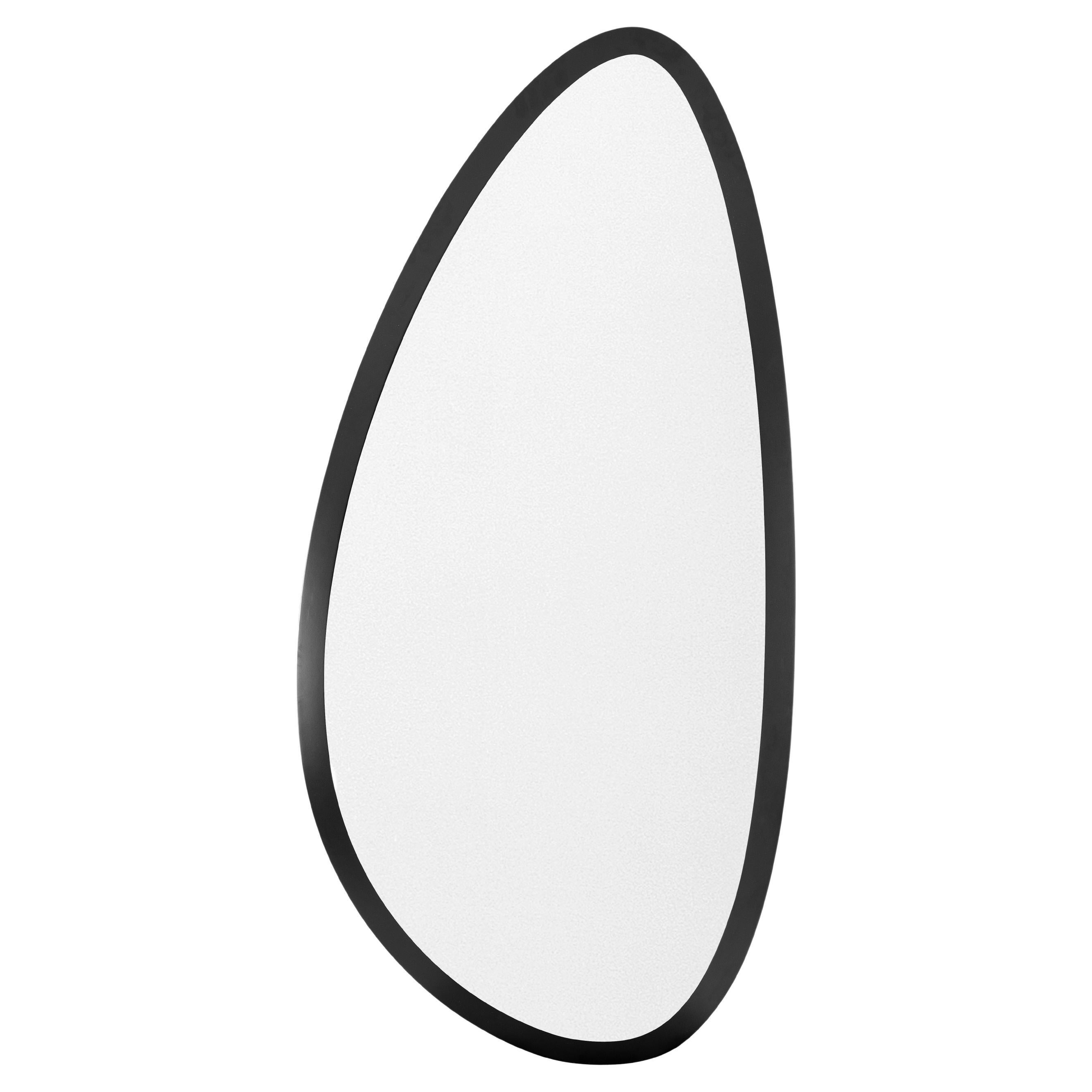 Pante Mirror in Black Wood Finish Individual