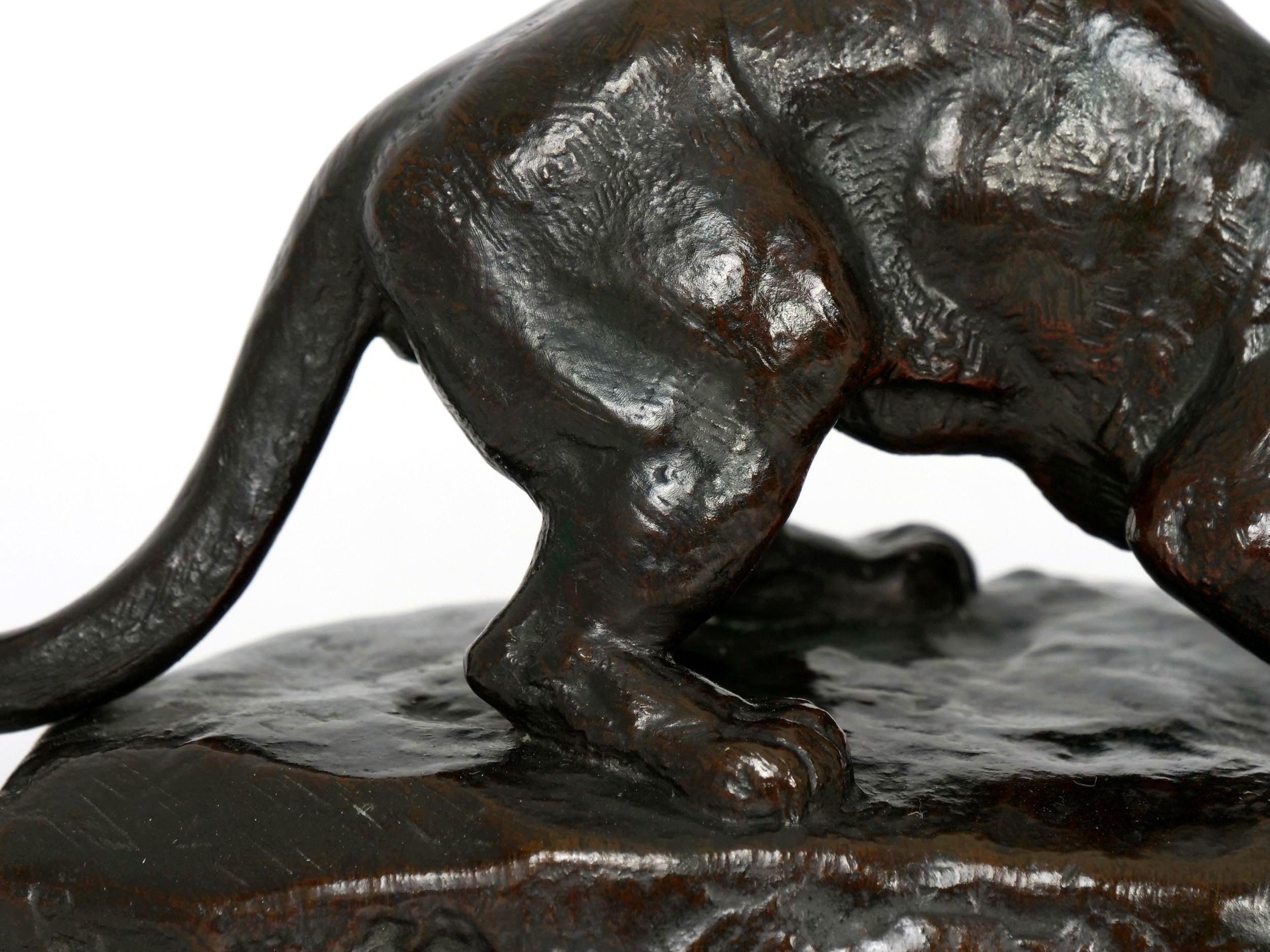 “Panther Attacking a Civet” French Antique Bronze Sculpture by Antoine L. Barye 13