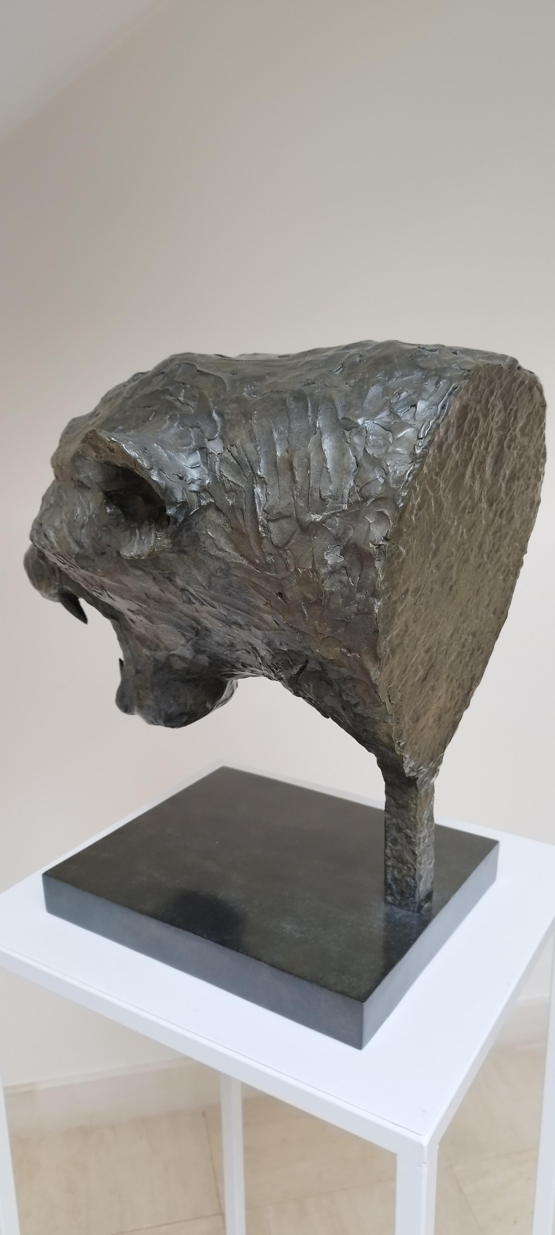 Bronzed Sculpture Panther Head bronze by Patrick LAROCHE  For Sale