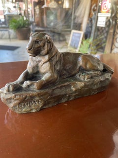 Panthère de l'Inde ou Panthere of India