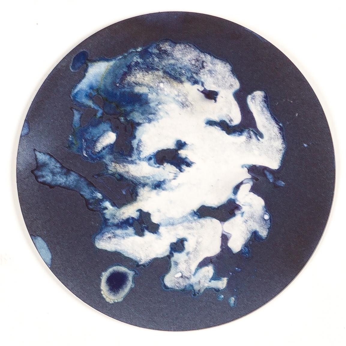 Algas 11, 22 y 67. Cyanotype photograhs mounted in high resistance glass dish - Gray Abstract Sculpture by Paola Davila