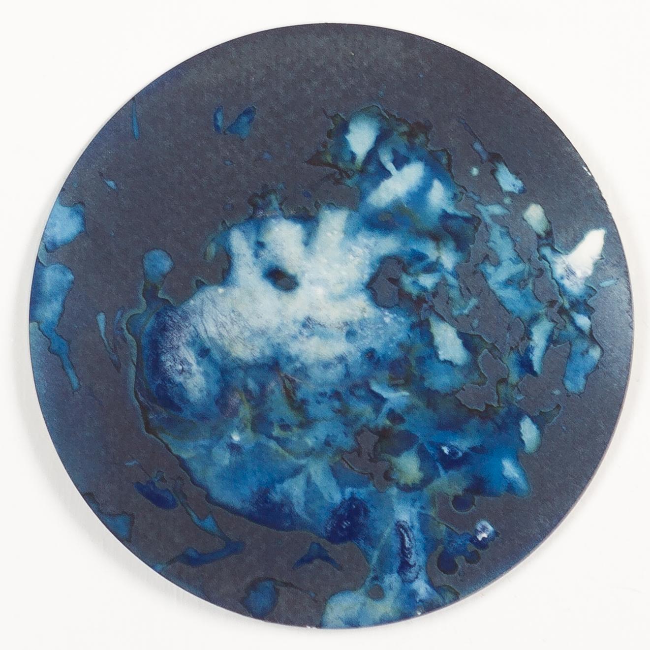 Algas 23, 63 y 64. Cyanotype photograhs mounted in high resistance glass dish - Abstract Sculpture by Paola Davila