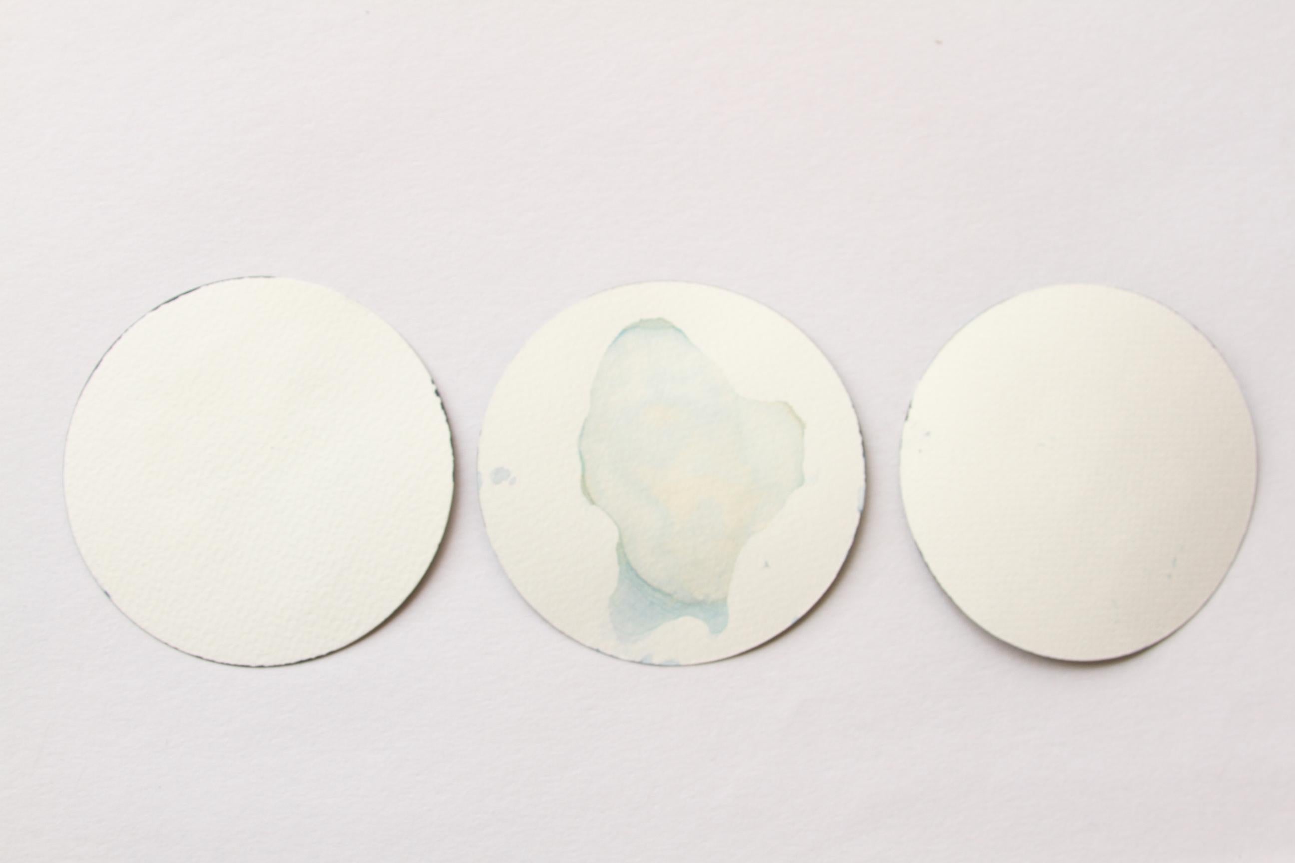 Algas 23, 63 y 64. Cyanotype photograhs mounted in high resistance glass dish For Sale 2