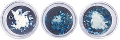 Algas 23, 63 und 64. Cyanotypie-Fotografien, montiert in einer hochfesten Glasschale