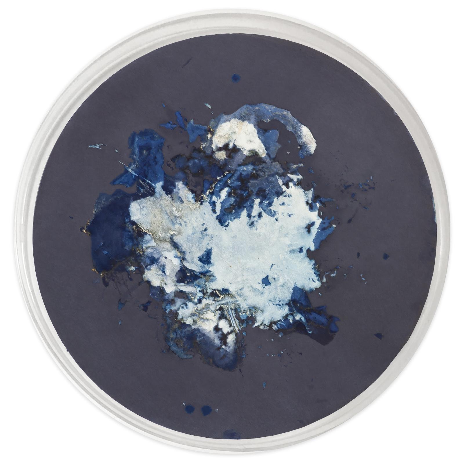 Algas 45-IV, V & XIX. Mareas series. Wall Sculptures Cyanotype Photographs  For Sale 2