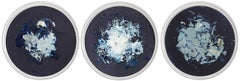 Algas 45-IV, V & XIX. Mareas series. Wall Sculptures Cyanotype Photographs 