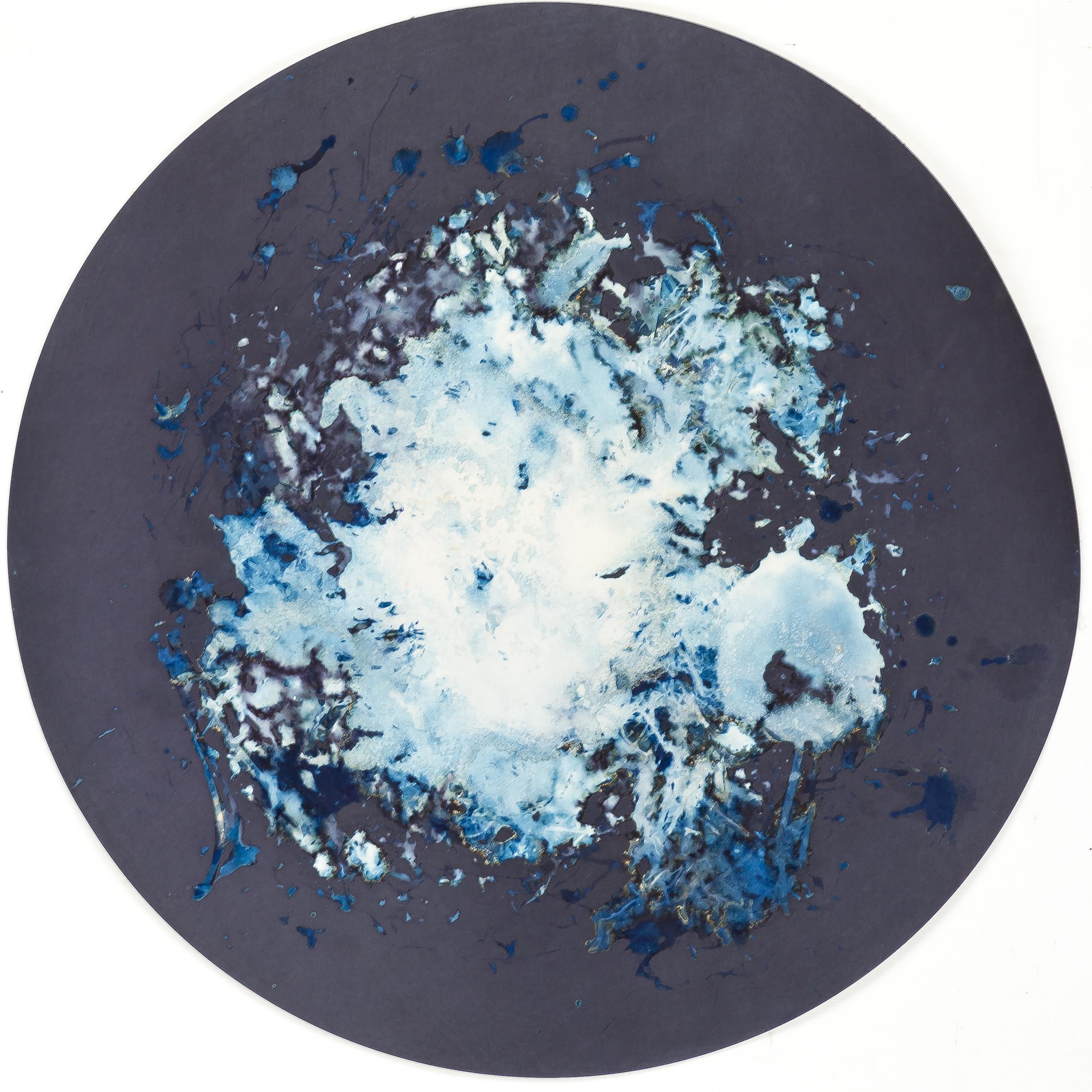 Algas 45-V. From the series Mareas. Cyanotype photograhs Mounted  - Abstract Sculpture by Paola Davila