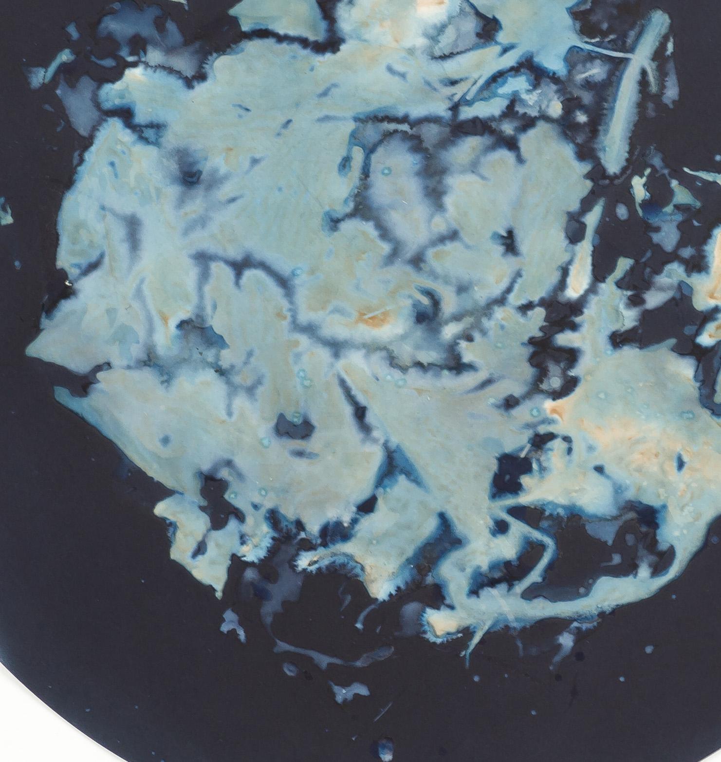 Algas 45-XIX. Aus der Serie Mareas. Cyanotypie-Fotografien (Schwarz), Abstract Photograph, von Paola Davila