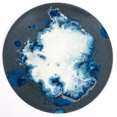 Algas 75, 83 Y 26. Cyanotype photograhs mounted in high resistance glass dish