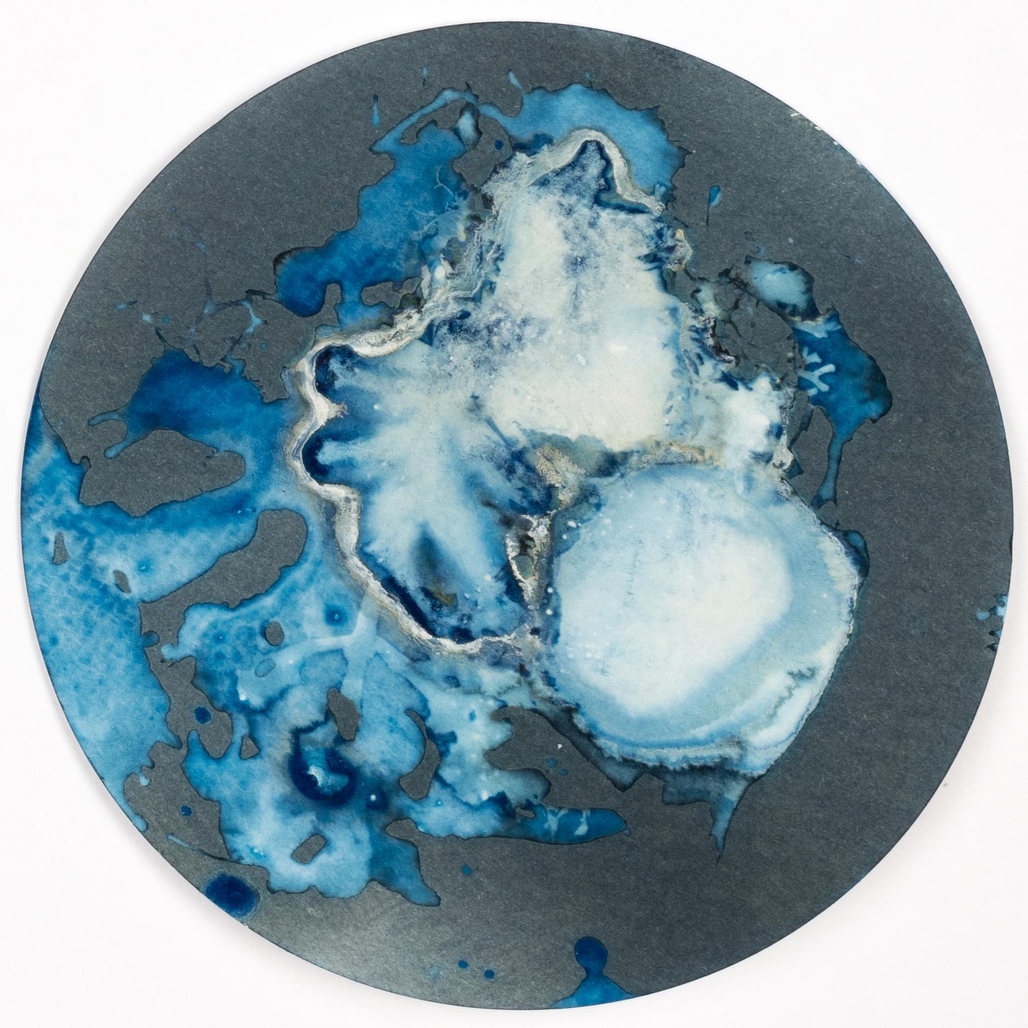 Algas 75, 83 Y 26, 2022 by Paola Davila 
From the series Mareas
Cyanotype on 300 gr cotton paper
Mounted in a high-resistance borosilicate glass petri dish
Overall size: 36 cm Dm x 12 cm H x 2.4 cm Deep.
Individual Image size: 10.5 cm D. 
Each Petri