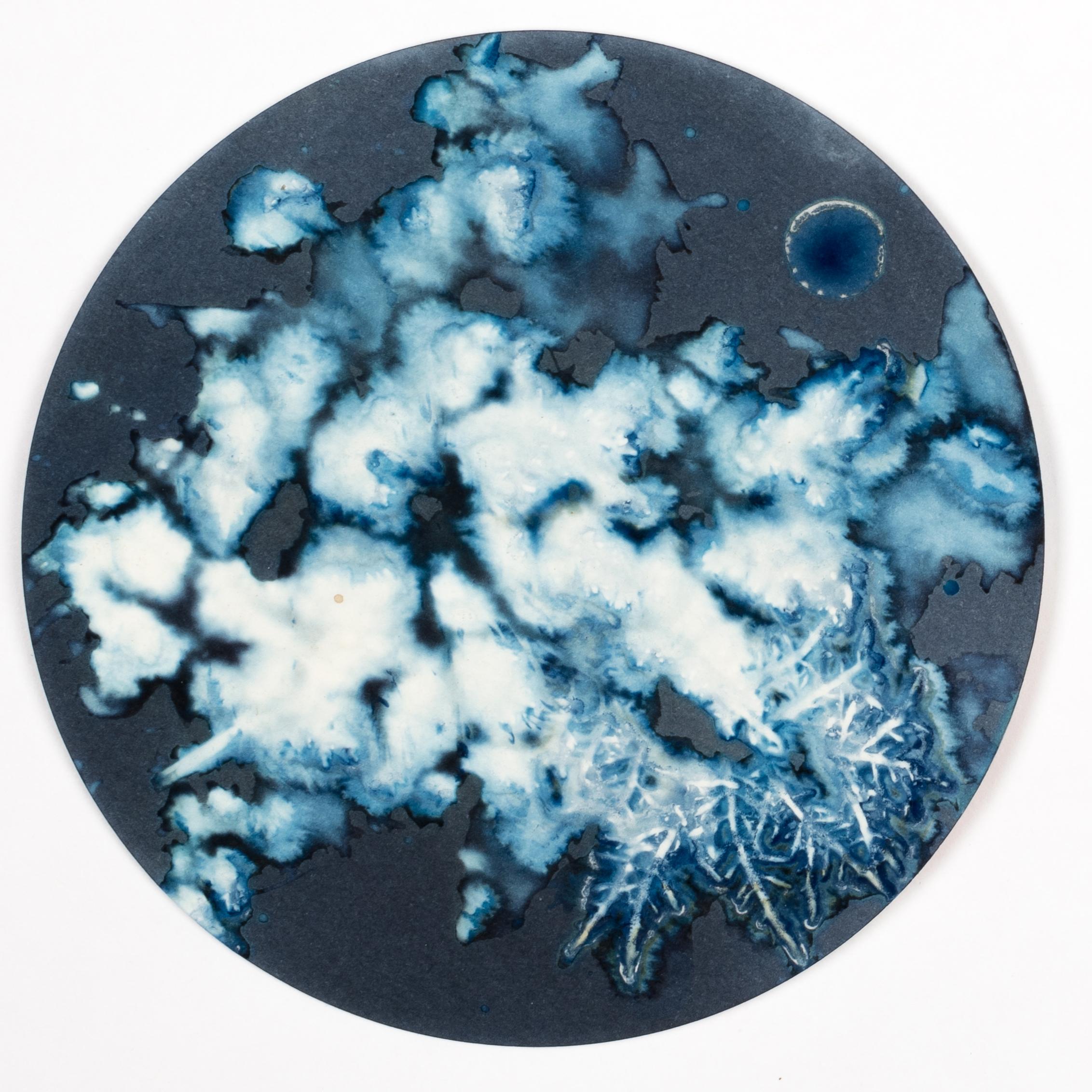 Algas 88, 28, 87. Cyanotype photograhs mounted in high resistance glass dish - Abstract Photograph by Paola Davila