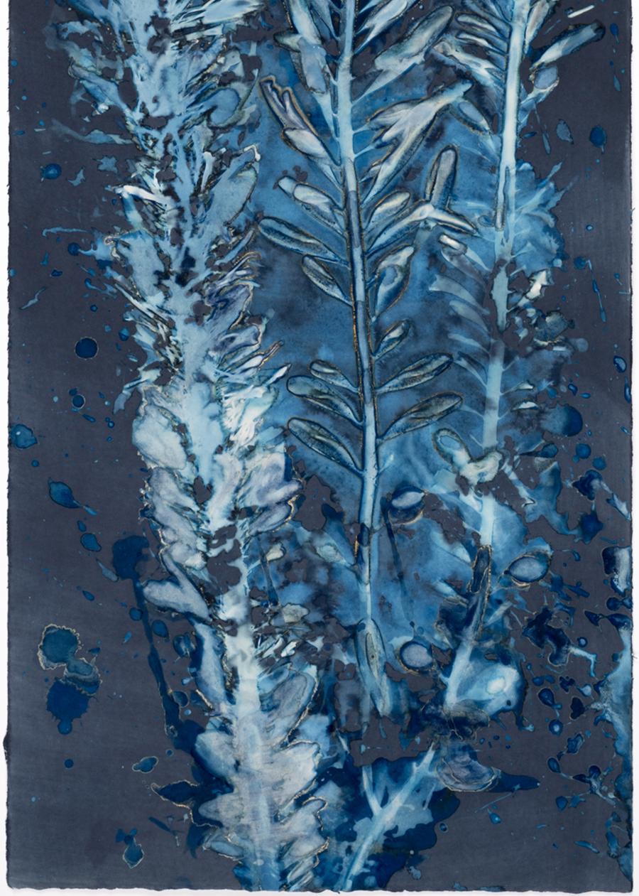 Laminariales III. From the series Bosque Cyanotype photograh - Photograph by Paola Davila