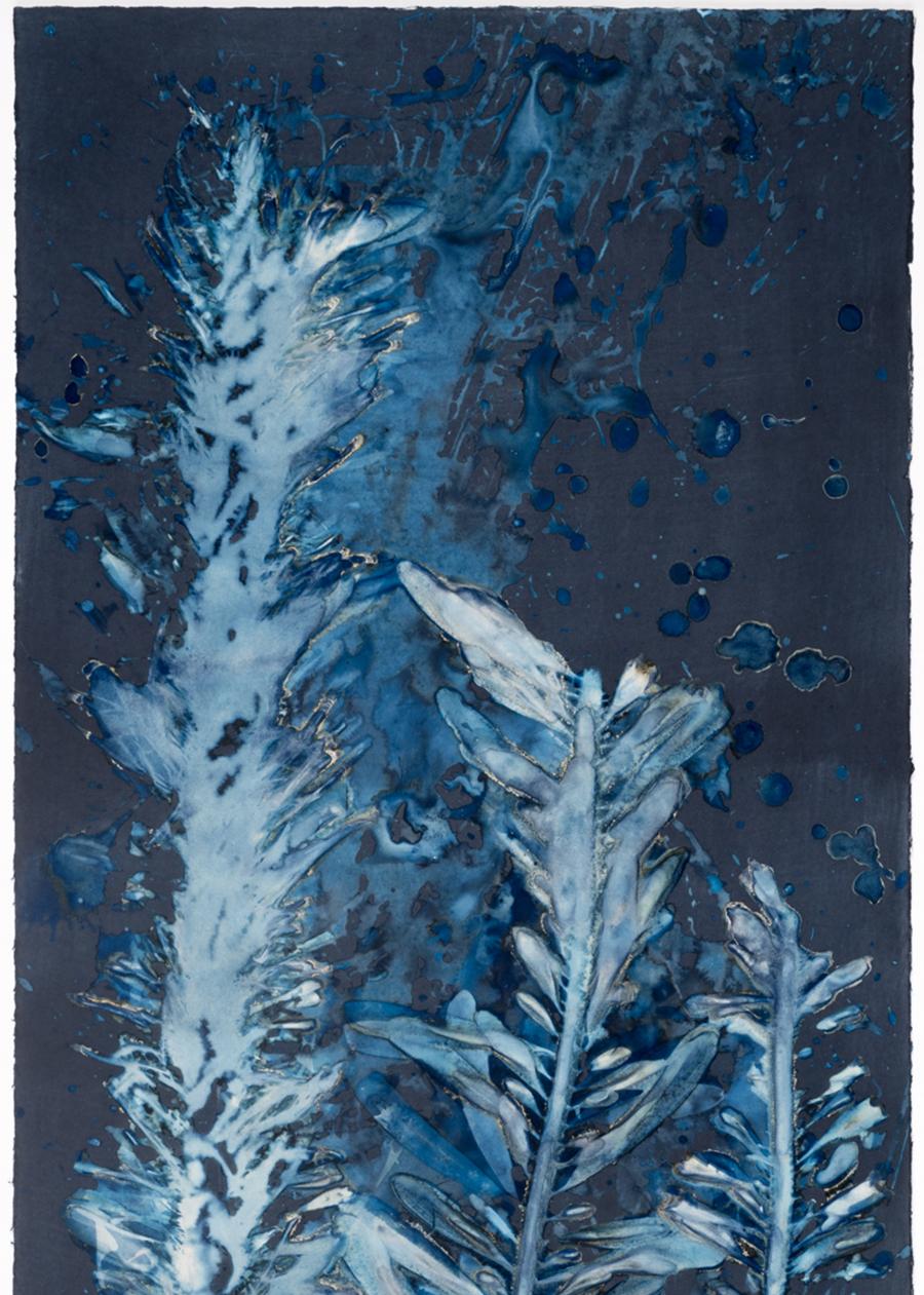 Laminariales III. From the series Bosque Cyanotype photograh - Abstract Photograph by Paola Davila