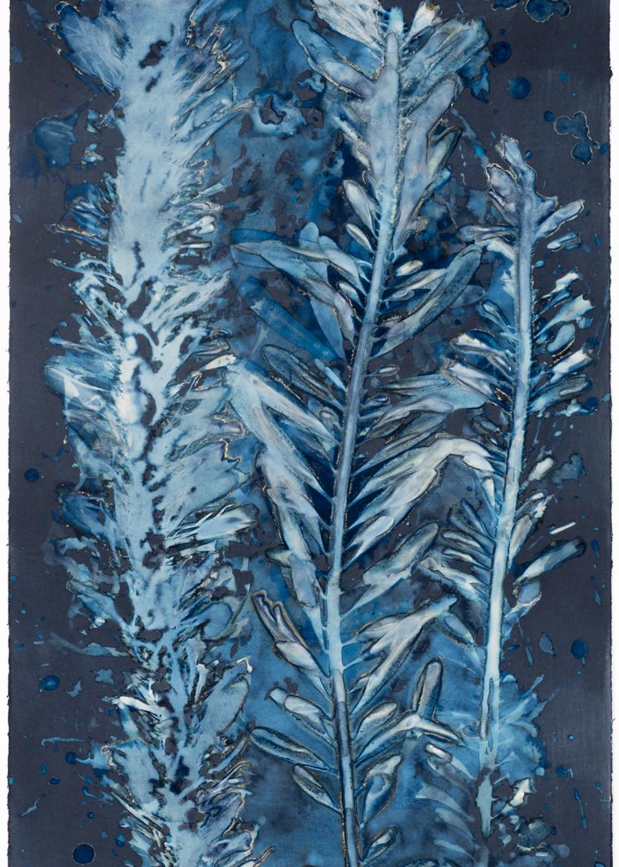 Laminariales III. From the series Bosque Cyanotype photograh - Blue Abstract Photograph by Paola Davila