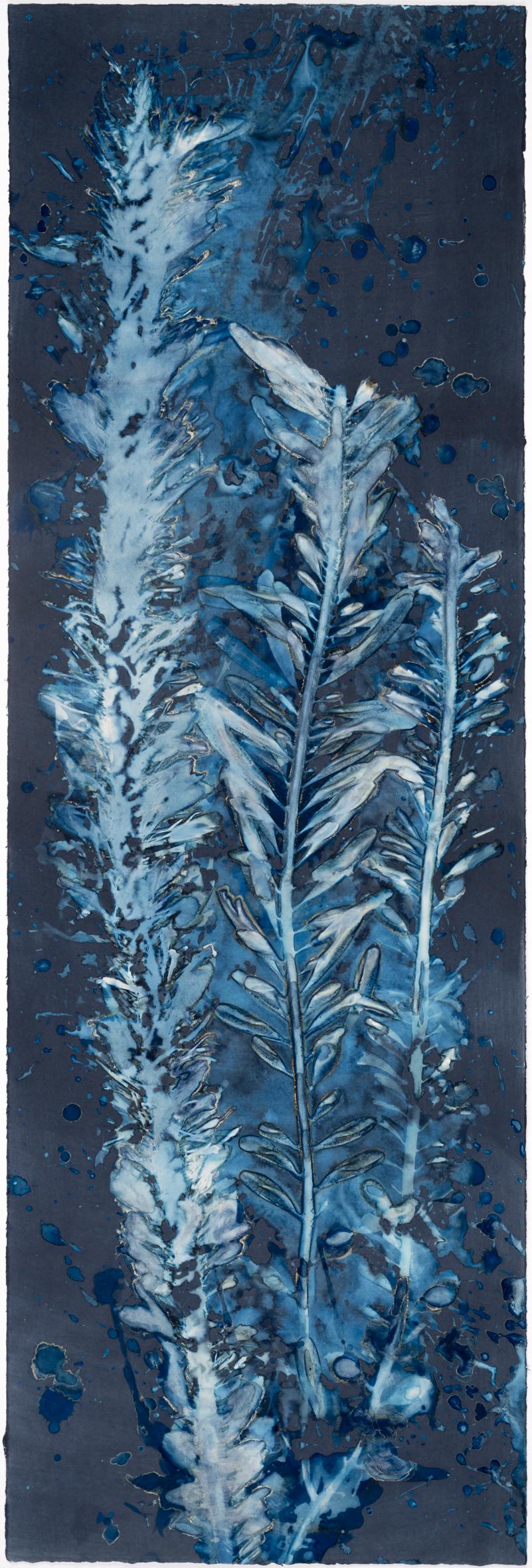 Paola Davila Abstract Photograph - Laminariales III. From the series Bosque Cyanotype photograh