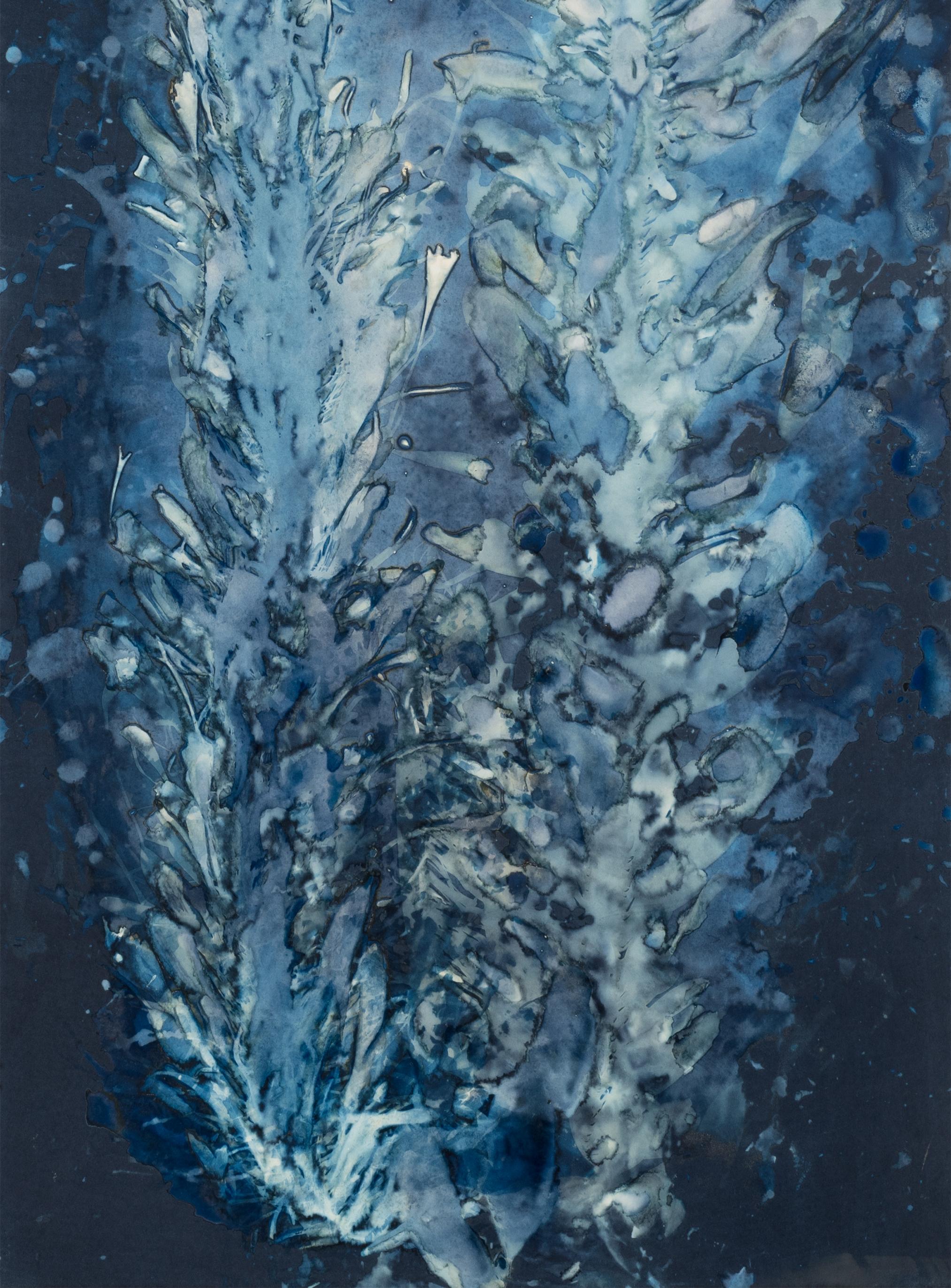 Laminariales VIII. From the series Bosque Cyanotype photograhs  - Abstract Photograph by Paola Davila