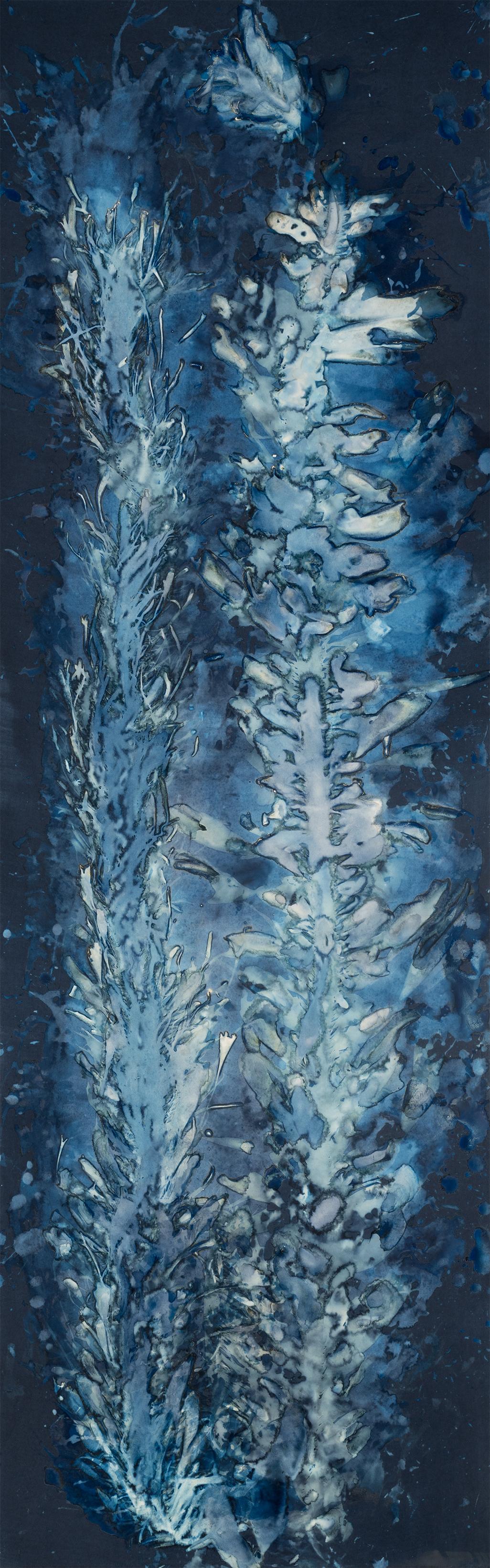 Paola Davila Abstract Photograph - Laminariales VIII. From the series Bosque Cyanotype photograhs 
