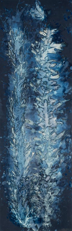 Laminariales VIII. From the series Bosque Cyanotype photograhs 