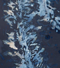 Laminariales XIII. From the series Bosque Cyanotype photograph