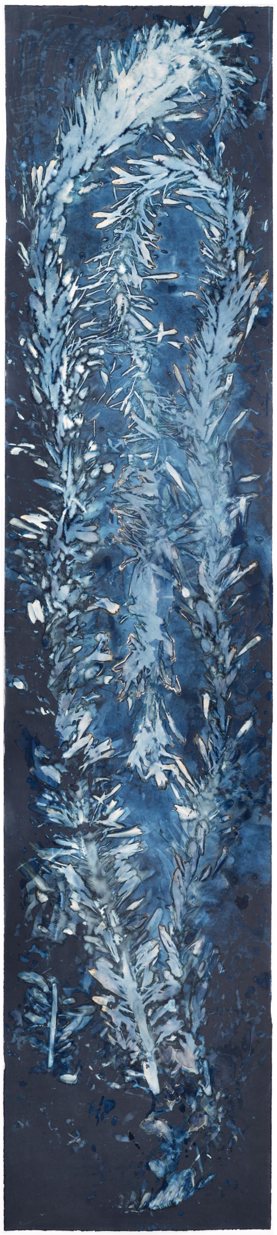 Paola Davila Abstract Photograph - Laminariales XVIII. From the series Bosque Cyanotype photograph