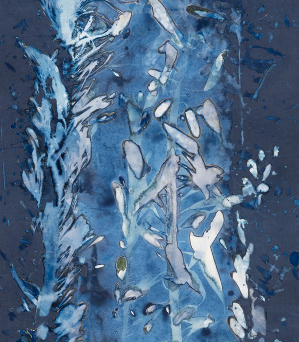 Laminariales XXII De la série Bosque Cyanotype photographie  - Abstrait Photograph par Paola Davila