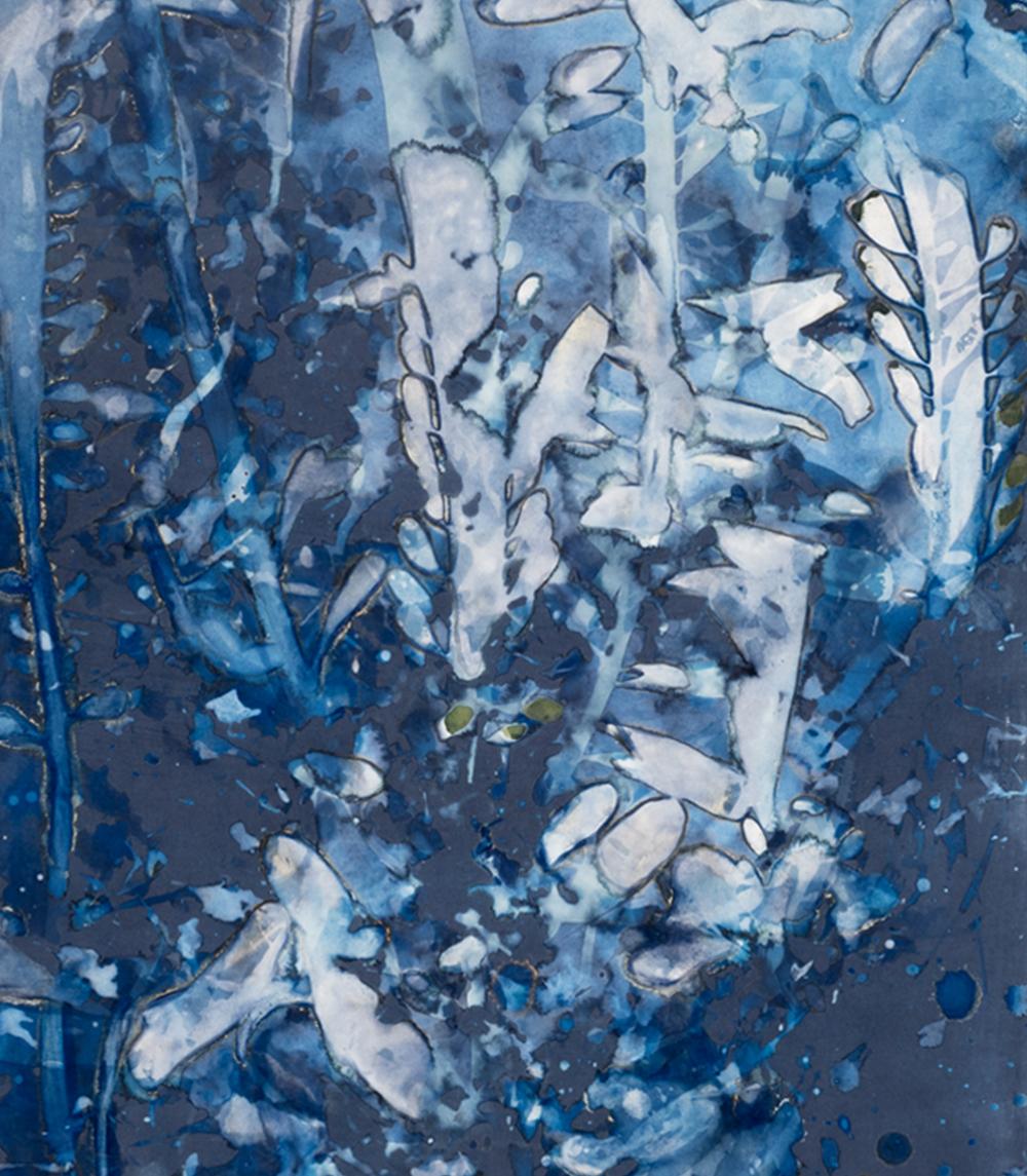 Laminariales XXII From the series Bosque Cyanotype photograph  - Abstract Photograph by Paola Davila