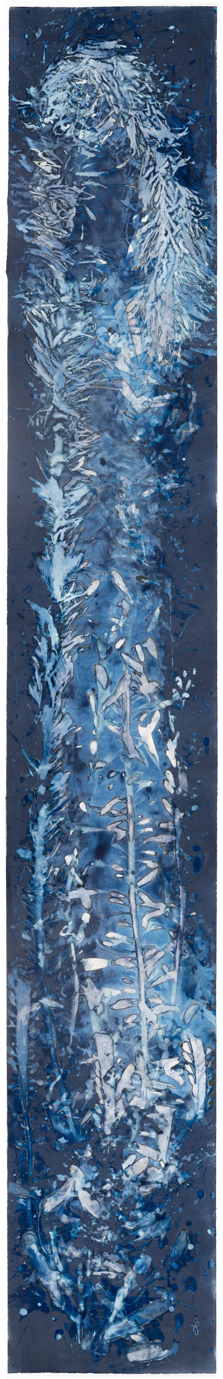 Paola Davila Color Photograph - Laminariales XXII From the series Bosque Cyanotype photograph 