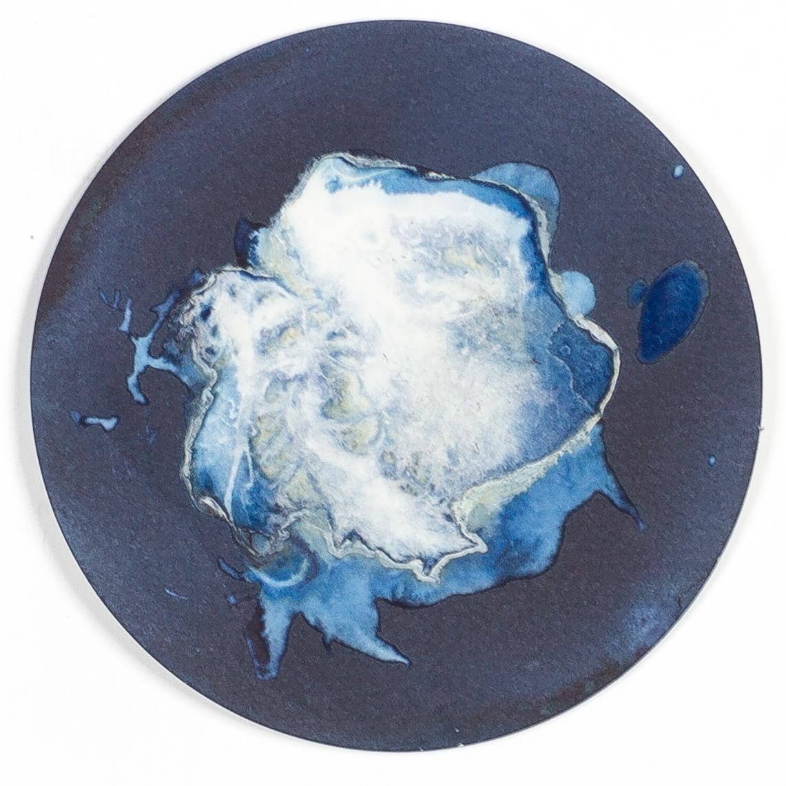 Medusas 11, 12 y 13. Cyanotype photograhs mounted in high resistance glass dish - Abstract Sculpture by Paola Davila
