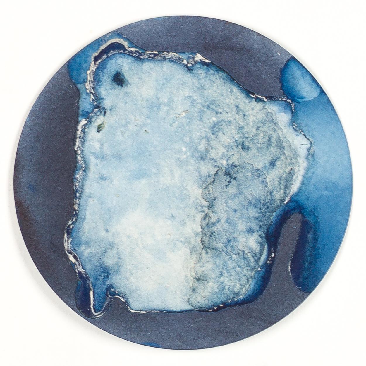 Medusas 11, 12 y 13. Cyanotype photograhs mounted in high resistance glass dish For Sale 1