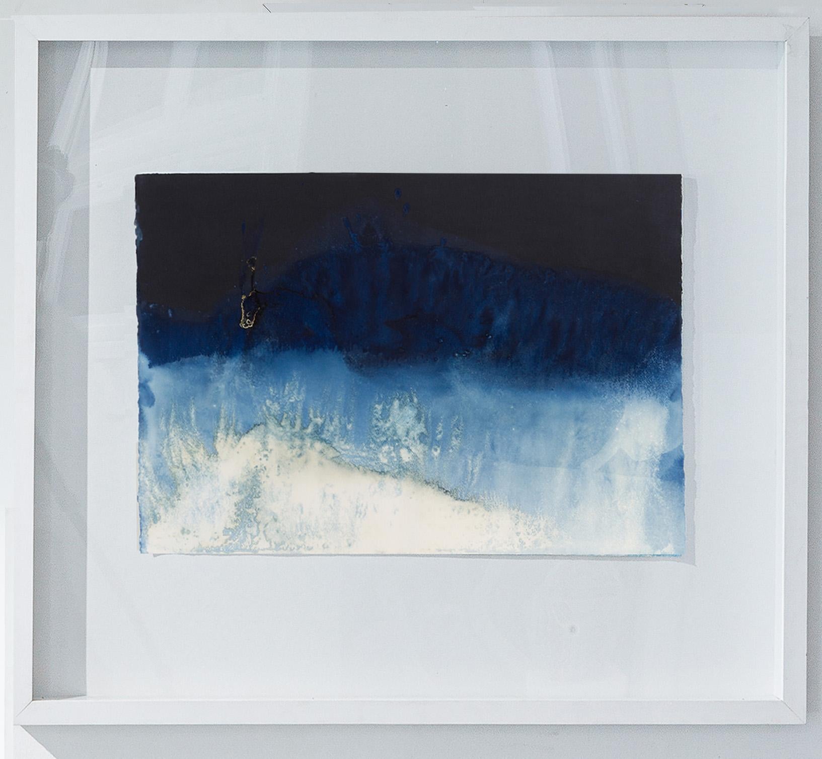 Set von 2 Zyanotyp-Fotografien. Gerahmt. Aus der Mareas-Serie im Angebot 5