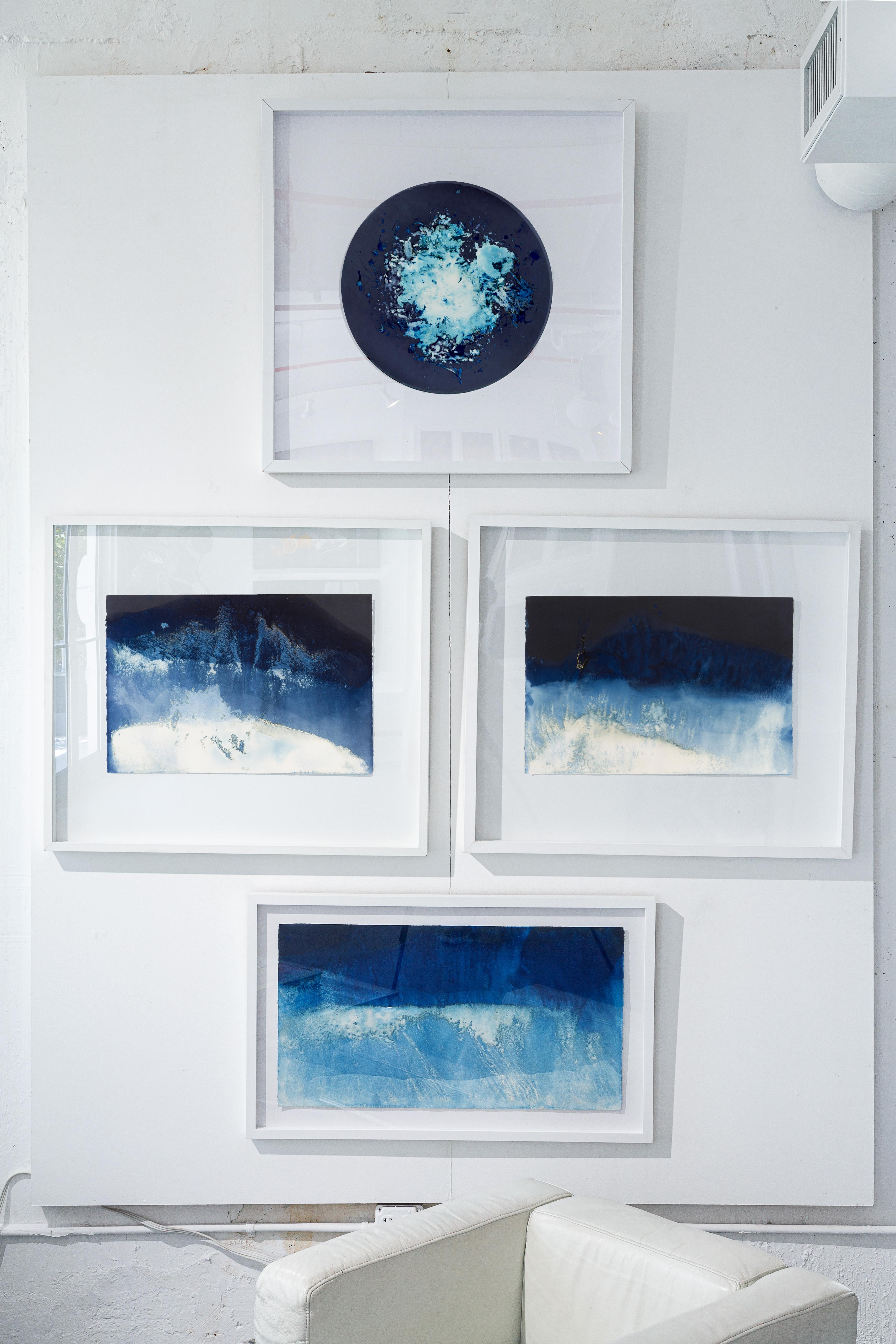 Set von 2 Zyanotyp-Fotografien. Gerahmt. Aus der Mareas-Serie im Angebot 7