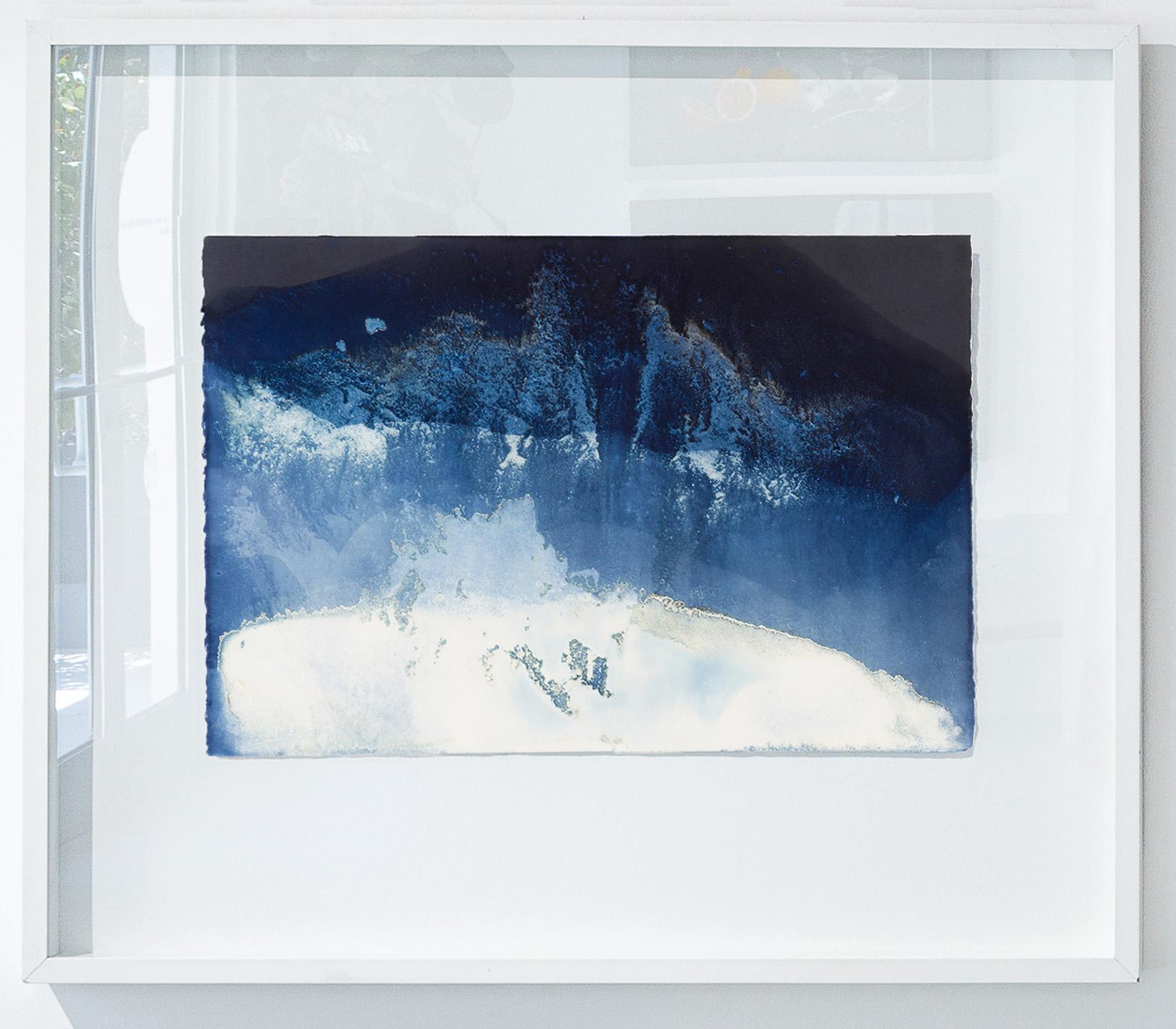 Set von 2 Zyanotyp-Fotografien. Gerahmt. Aus der Mareas-Serie (Abstrakt), Photograph, von Paola Davila