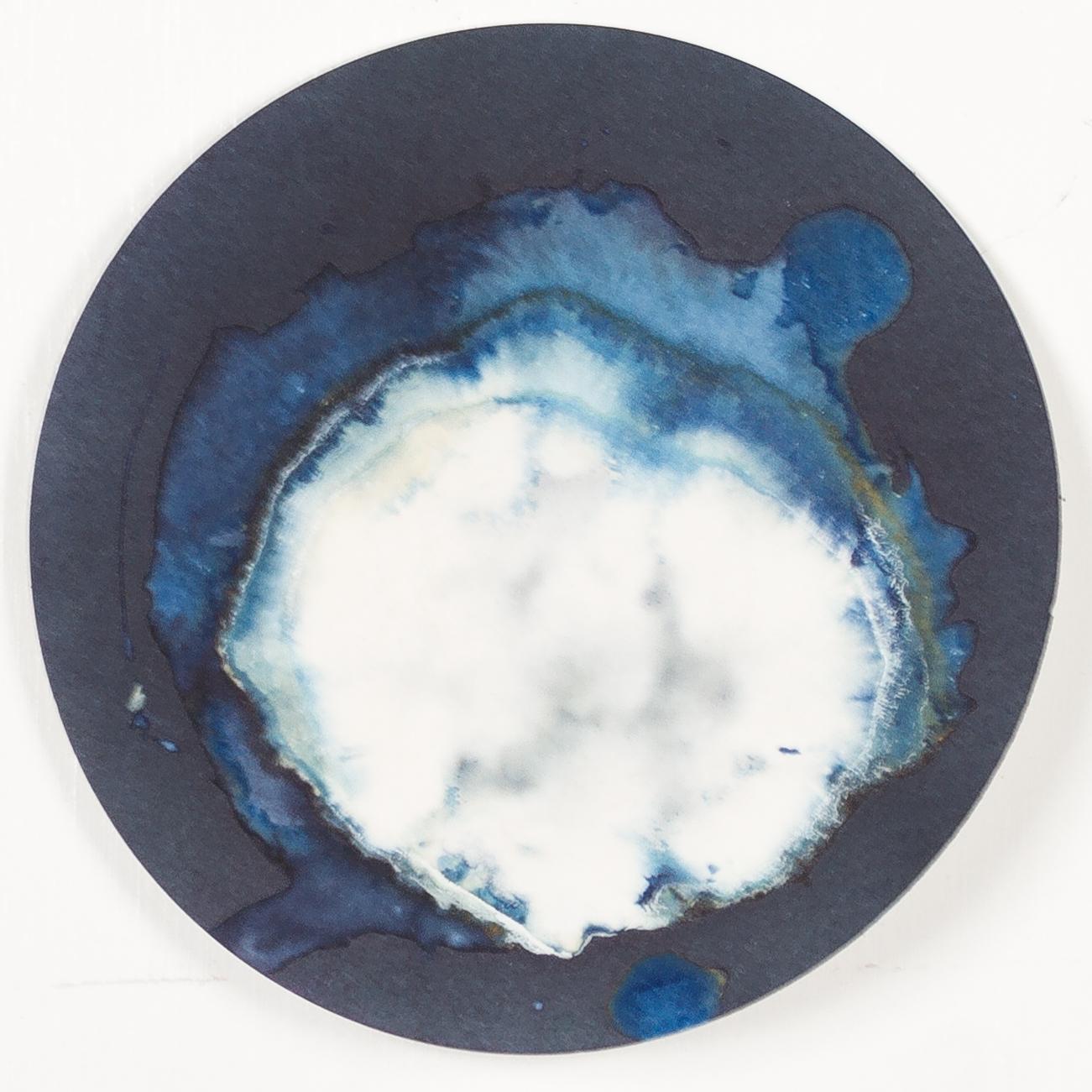 Esponjas 8, 11 und 16. Cyanotypie-Fotografien, montiert in einer hochfesten Glasschale (Abstrakt), Sculpture, von Paola Davila