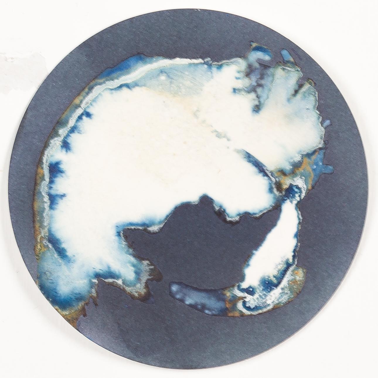 Esponjas 8, 11 und 16. Cyanotypie-Fotografien, montiert in einer hochfesten Glasschale im Angebot 2