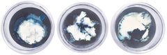Esponjas 8, 11 und 16. Cyanotypie-Fotografien, montiert in einer hochfesten Glasschale