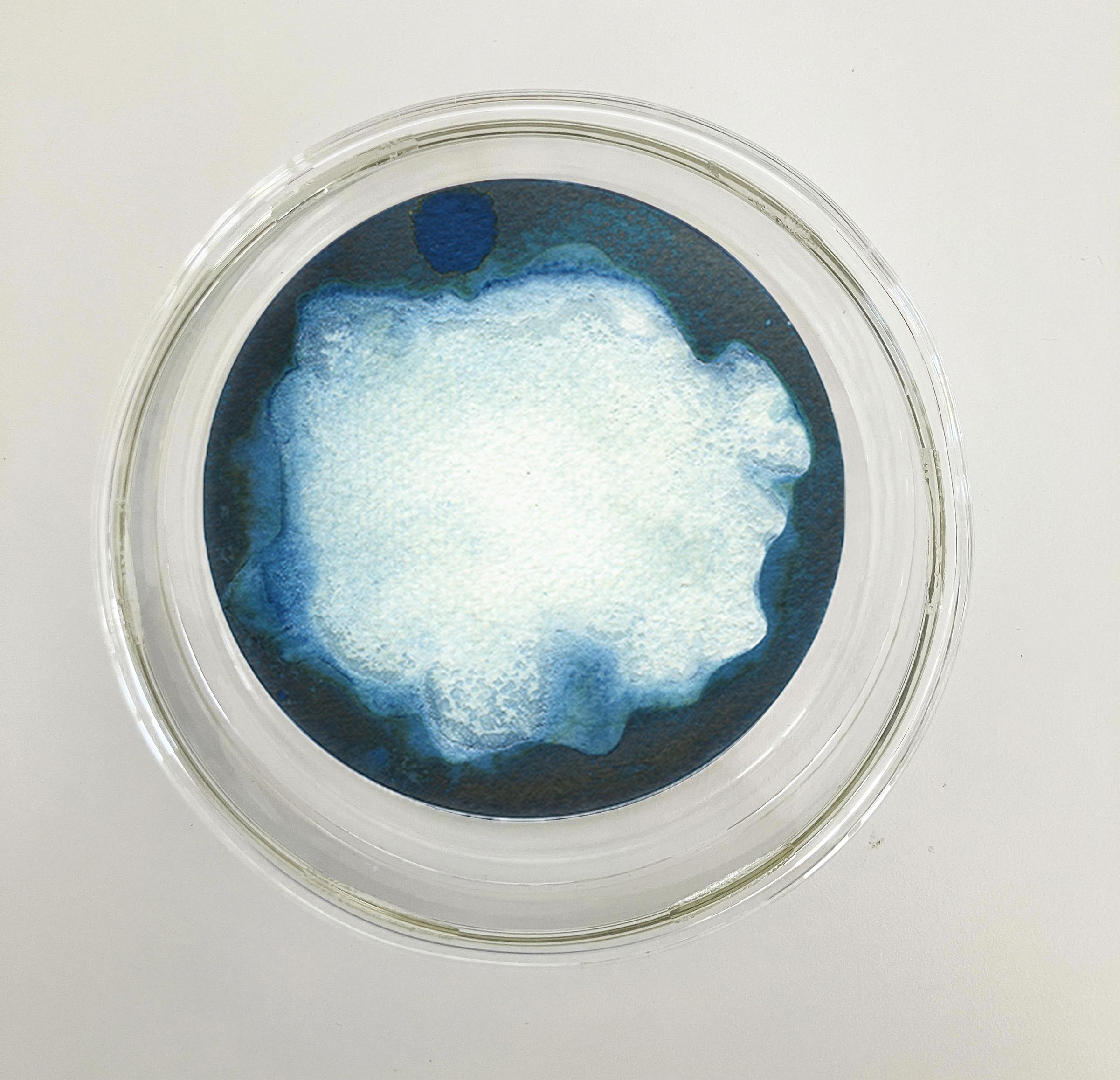 Sal 22, 23 y 24. Cyanotype photograhs mounted in high resistance glass dish - Sculpture by Paola Davila