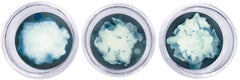 22, 23 und 24. Cyanotypie-Fotografien, montiert in einer hochfesten Glasschale