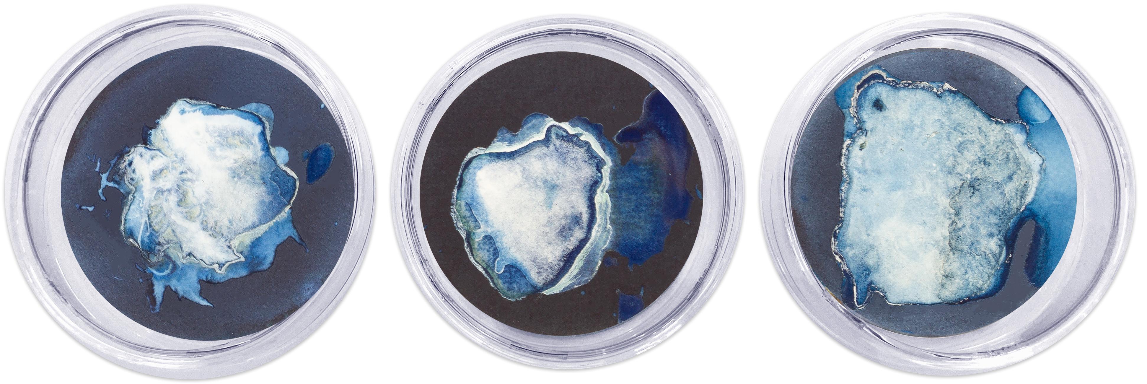 Ensemble de 21 photograhs de type cyanotype montés sur un plat en verre haute résistance en vente 1