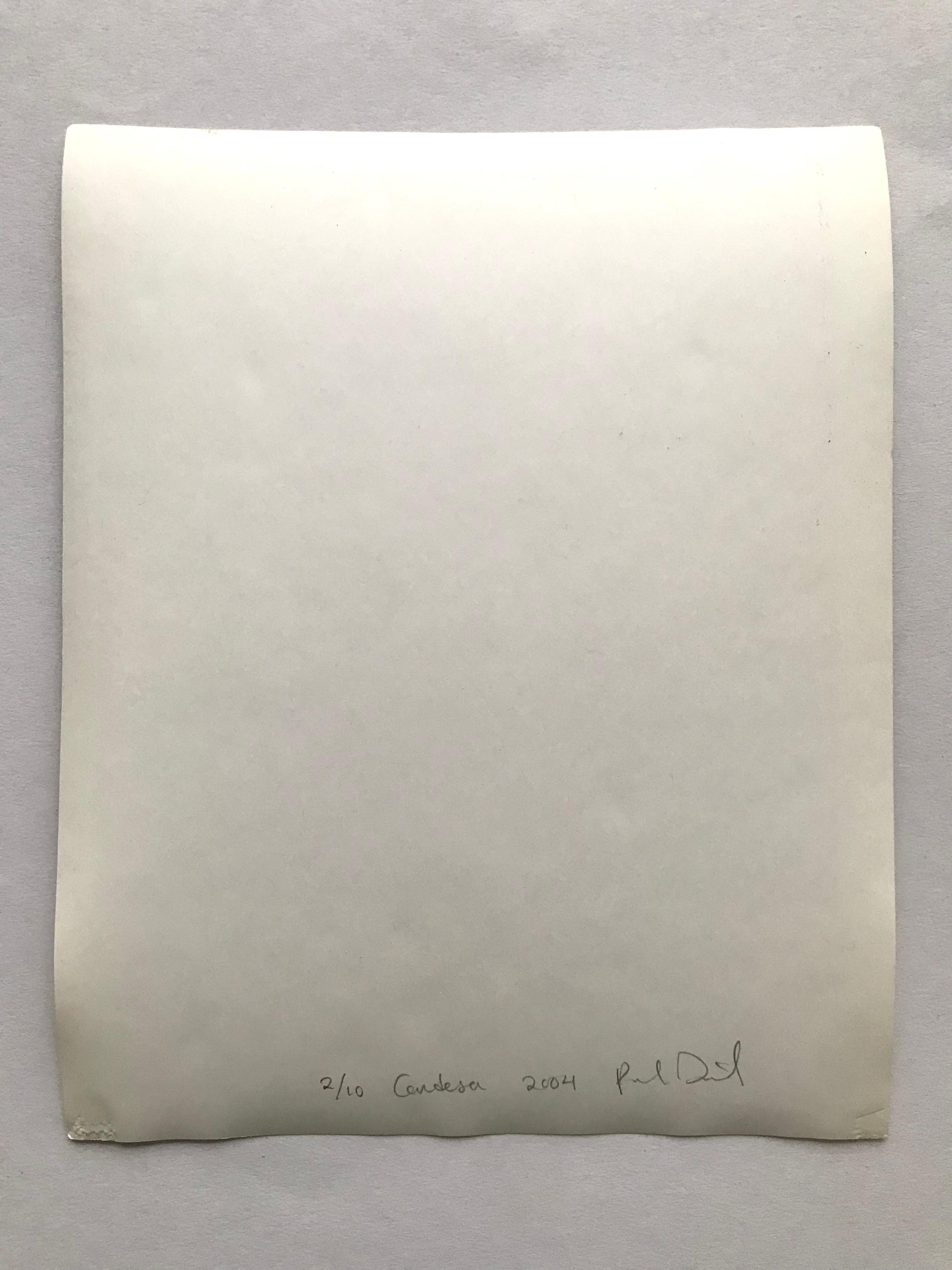 Autorretratos de artistas. Conjunto de 6 fotografías. en venta 9