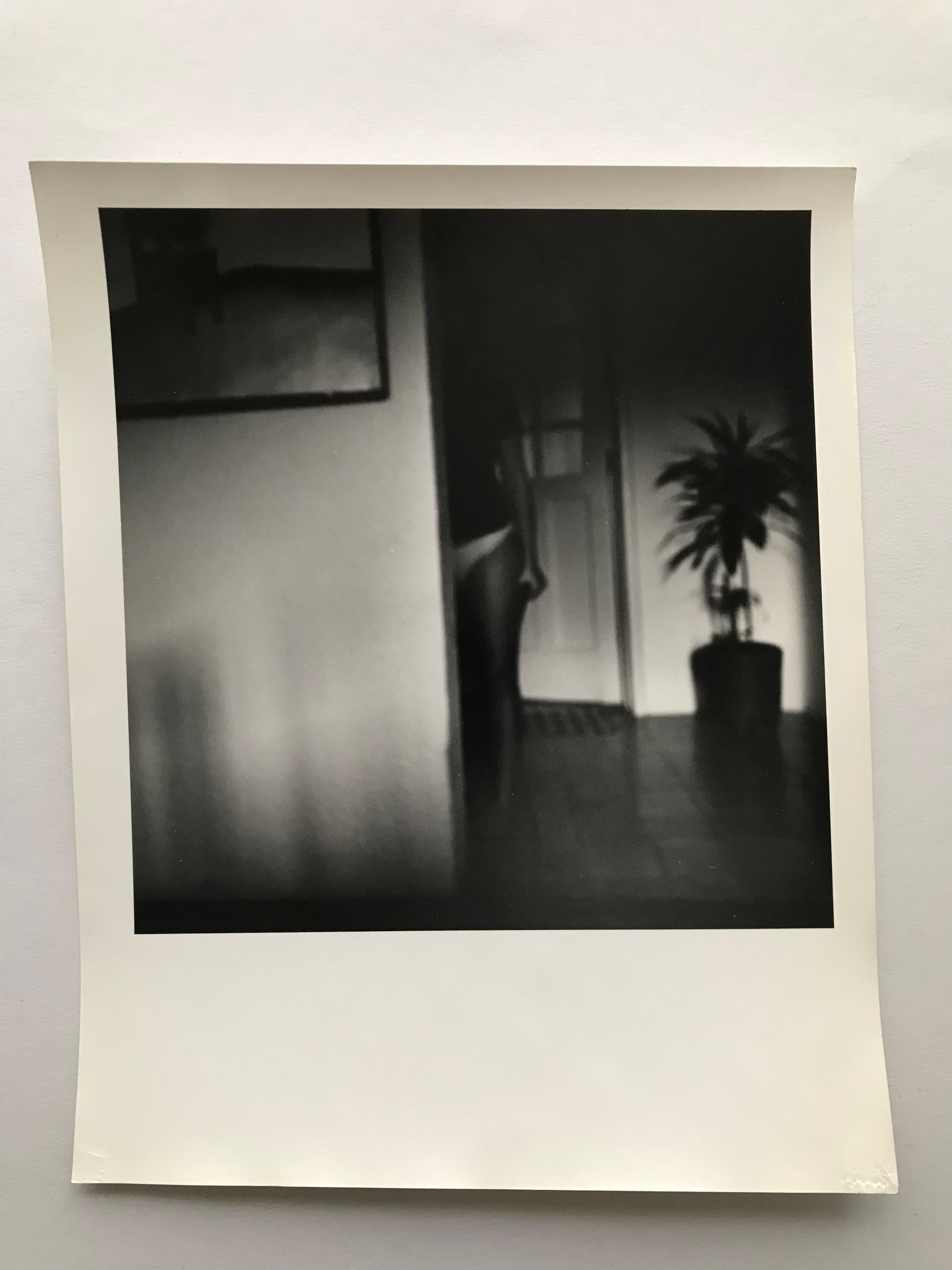 Autorretratos de artistas. Conjunto de 6 fotografías. en venta 10