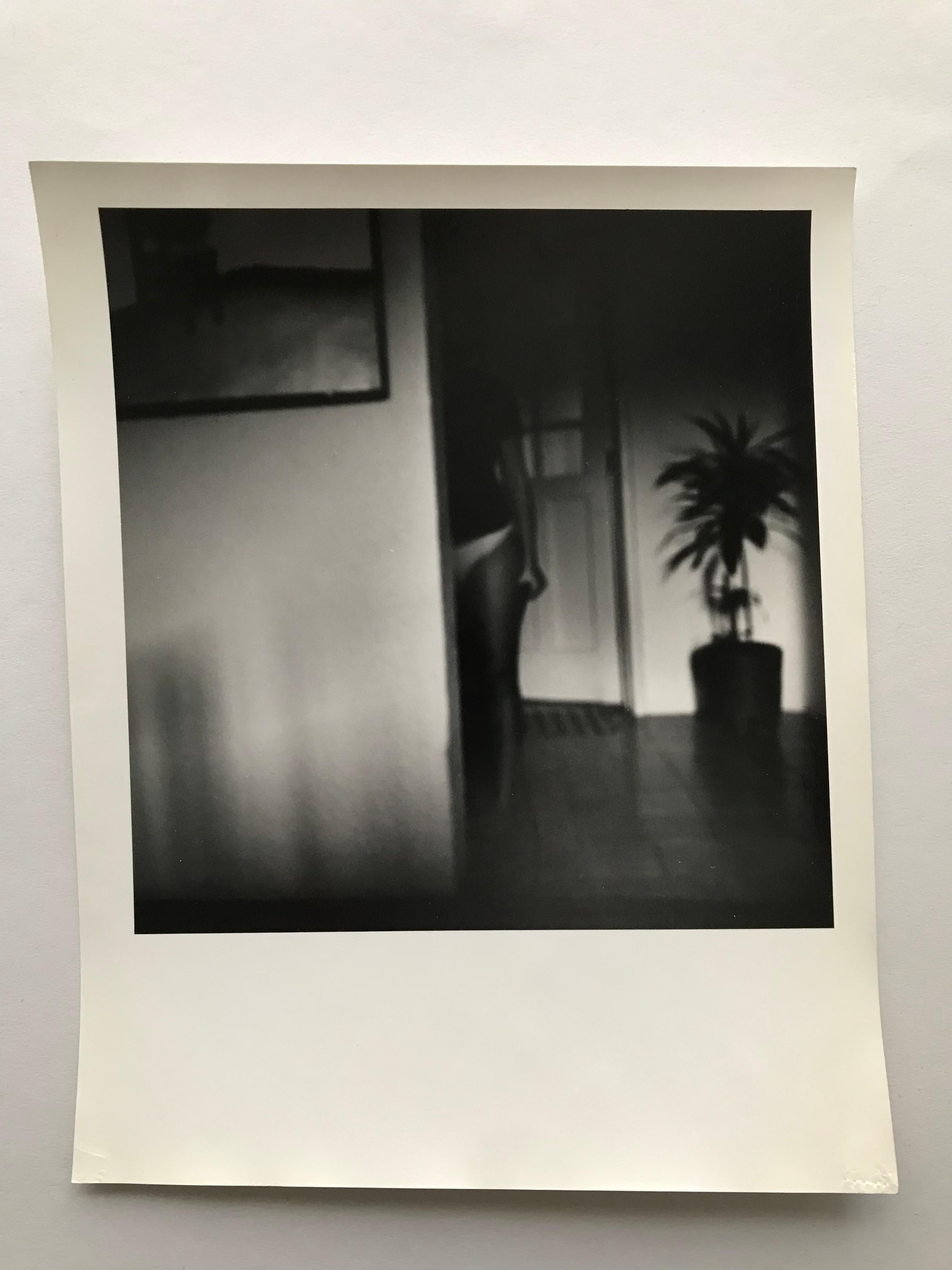 Condesa von Paola Dávila
Fotografie analog gedruckt auf 255 gr Barytfaser-Fotopapier. auf Selen gedreht.
Bildgröße: 18,3 cm H x 18,3 cm B.
Papierformat: 25 cm H x 20 cm B.
Auflage 2/10 + 2AP
Ungerahmt

_________
Paola Dávila wurde 1980 in Oaxaca,