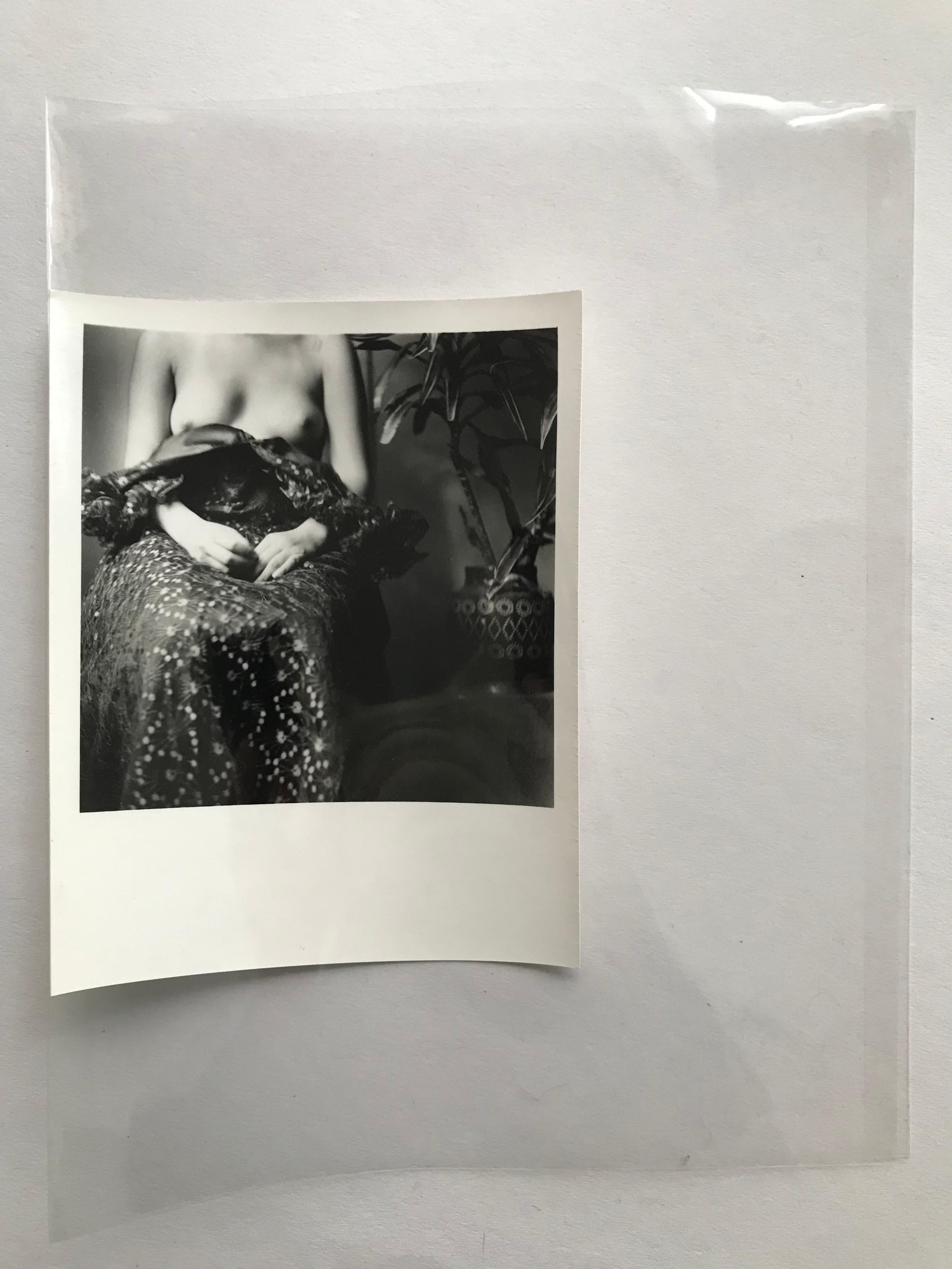 San Rafael par Paola Dávila
Photographie imprimée analogiquement sur du papier photographique en fibre barytée 255 gr tourné au sélénium.
Taille de l'image : 11,3 cm de haut x 11,2 cm de large.
Taille du papier : 16 cm de haut x 12,5 cm de