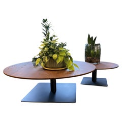 Paola Lenti Outdoor Giro Coffee and Side Table Set - 2 Tables Included