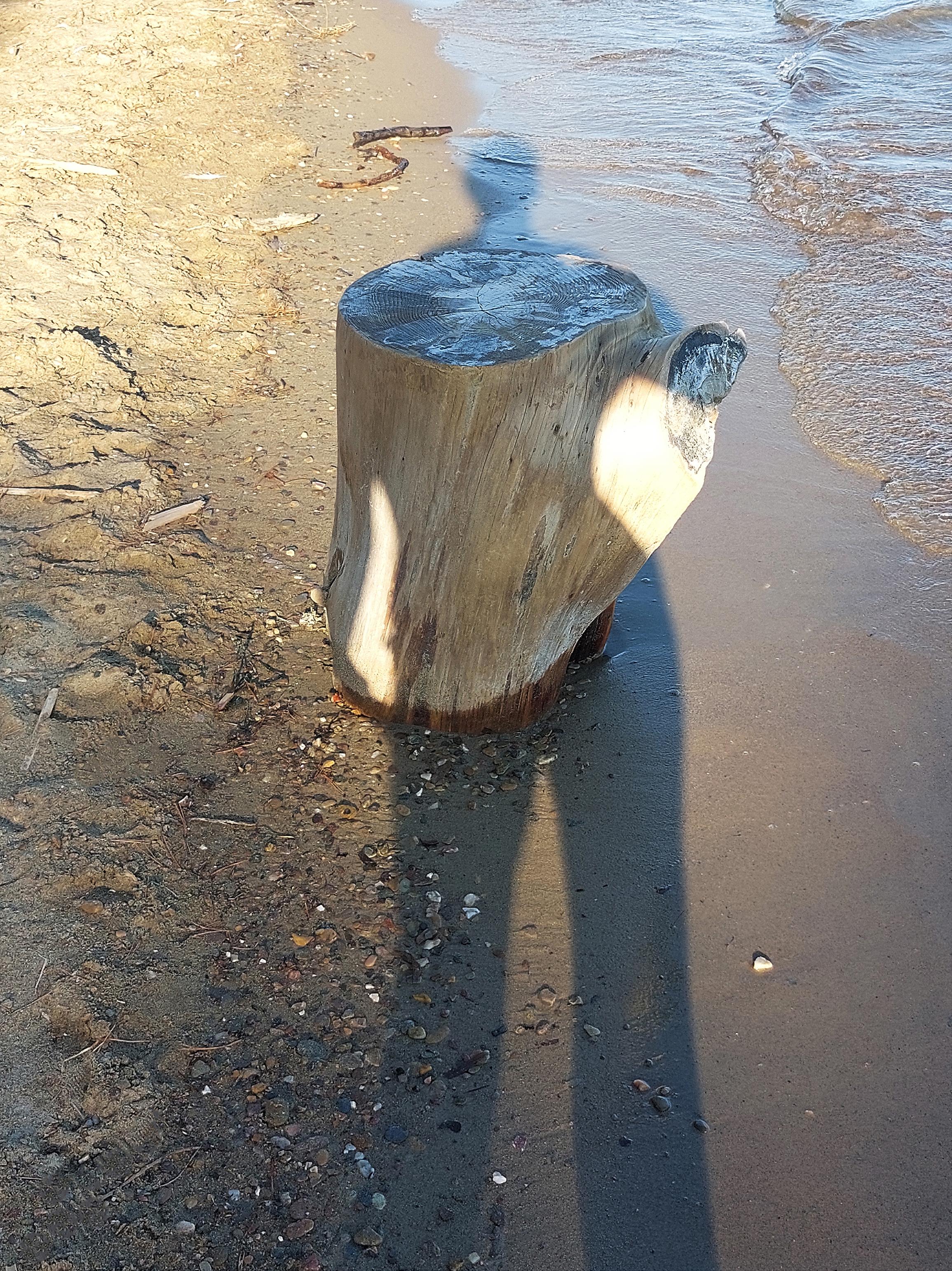 Escultura