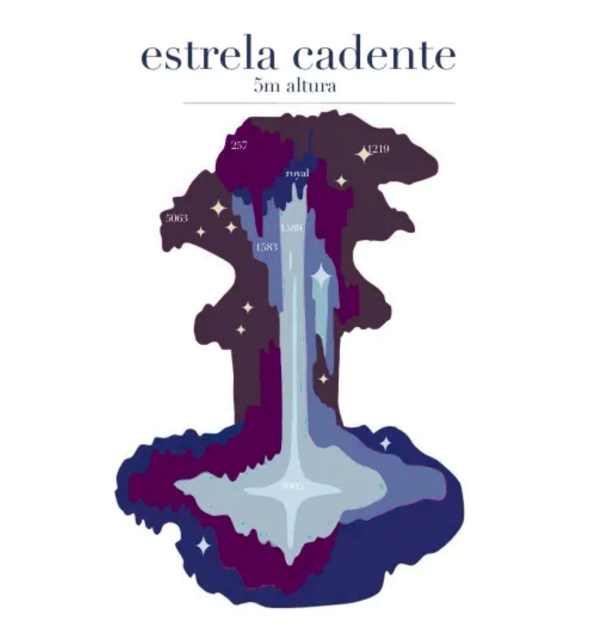 Brasiliano A. Micheller & Michell Lott, Arazzo con stella cadente, 2024 in vendita