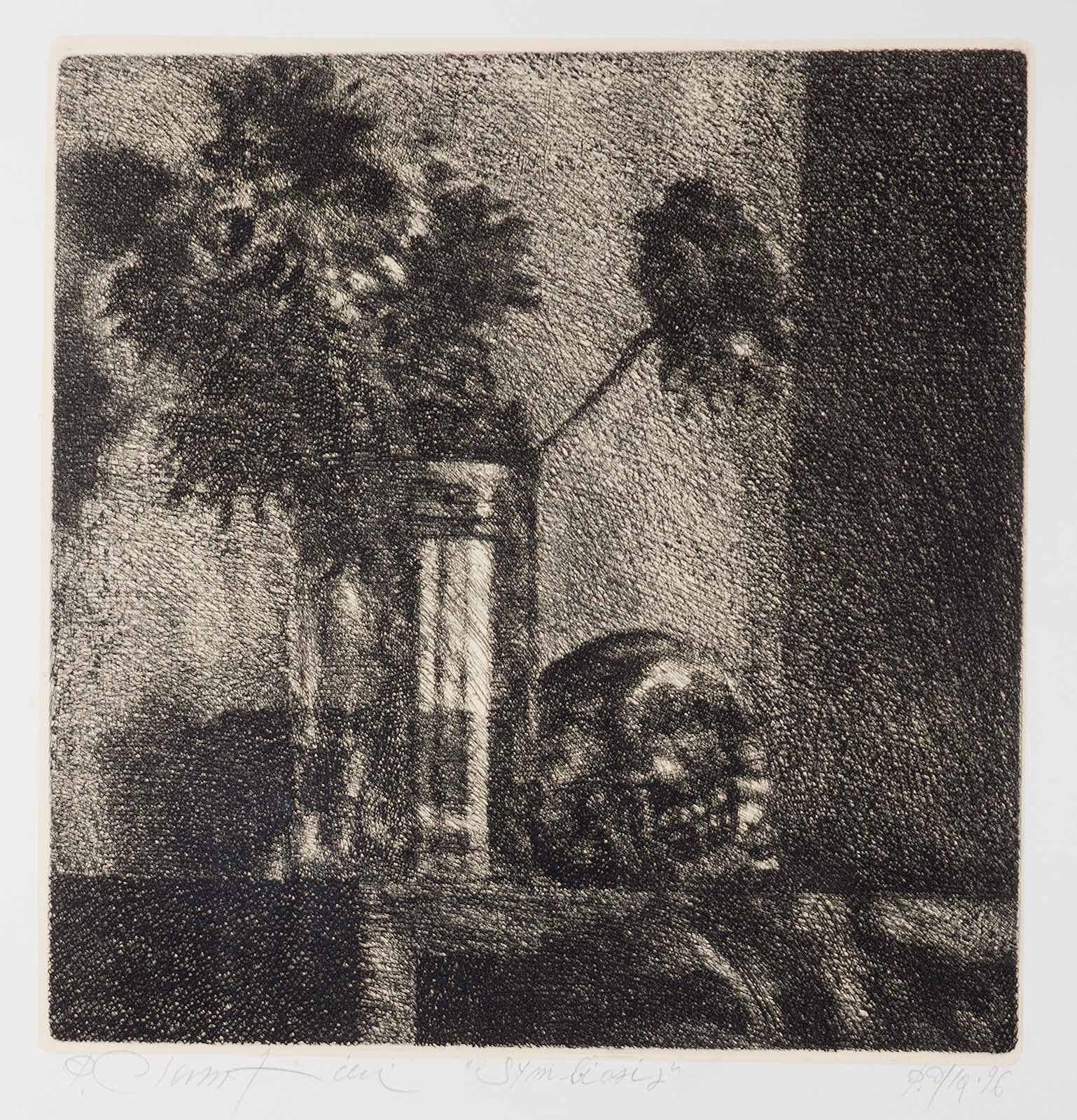 Simbiosis - Print de Paolo Ciampini