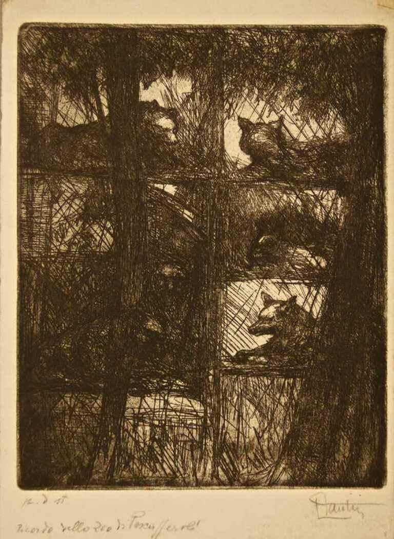 Hand signed. Artist's proof.

Etching and  Aquatint.  Remember the zoo in Pescasseroli. 